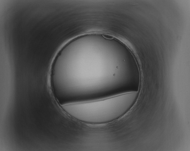 X0000101181296200806270819