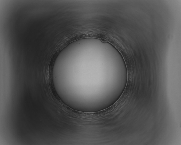 X0000101181298200806270818