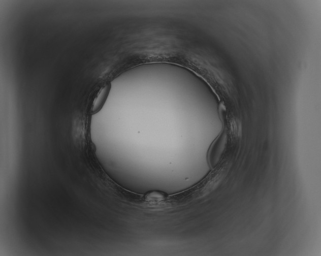 X0000101181300200806270818