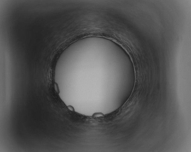 X0000101181301200806270818