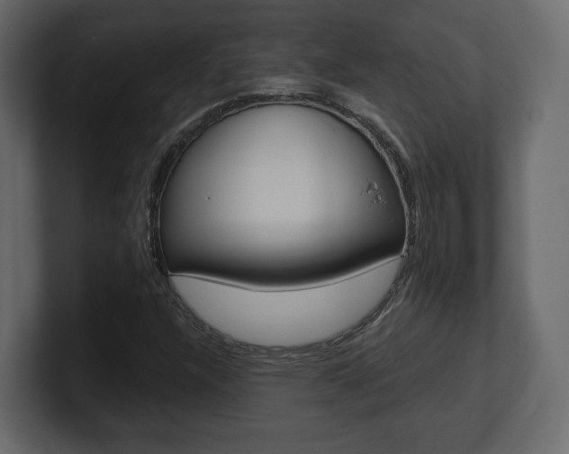 X0000101181304200806270818