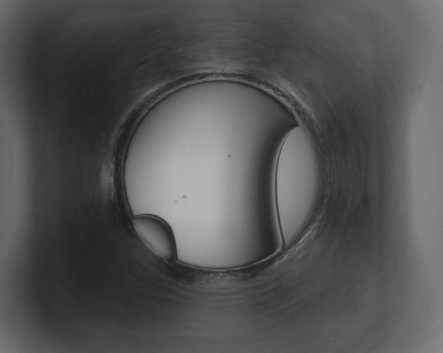 X0000101181307200806270818