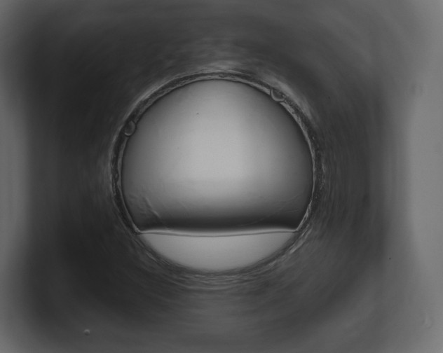 X0000101181308200806270818