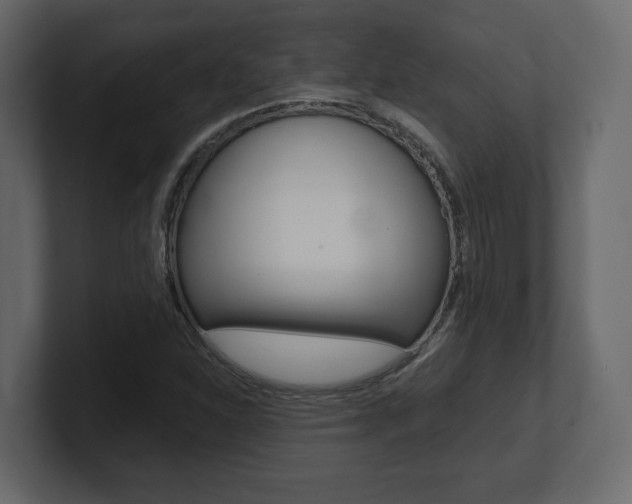 X0000101181310200806270818