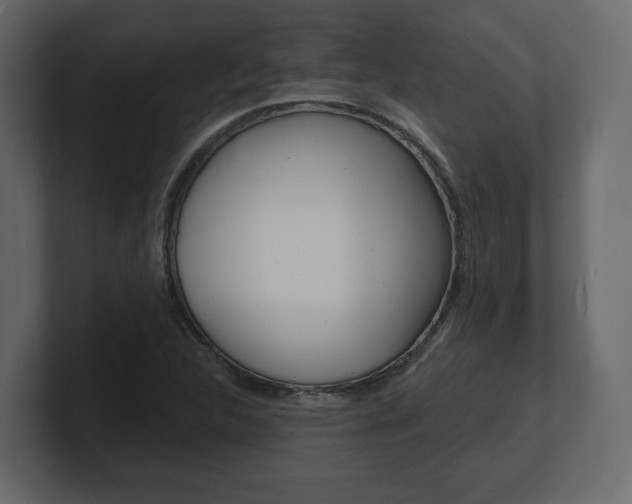 X0000101181312200806270818