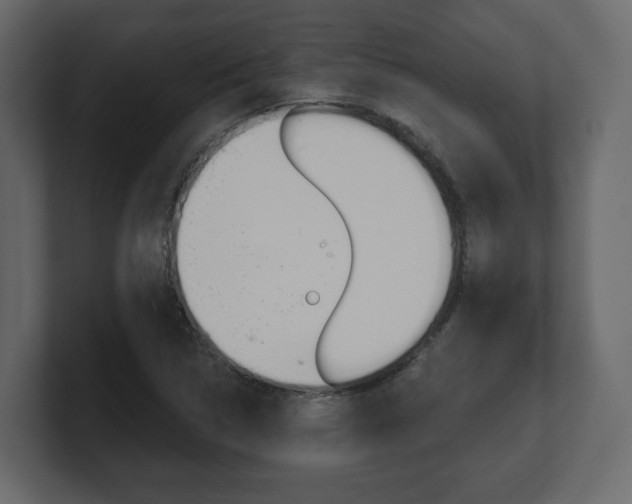 X0000101181314200806270818