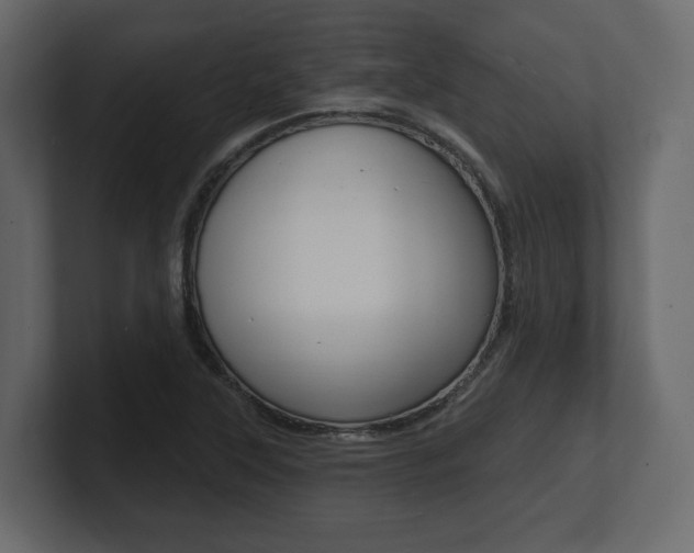 X0000101181315200806270818