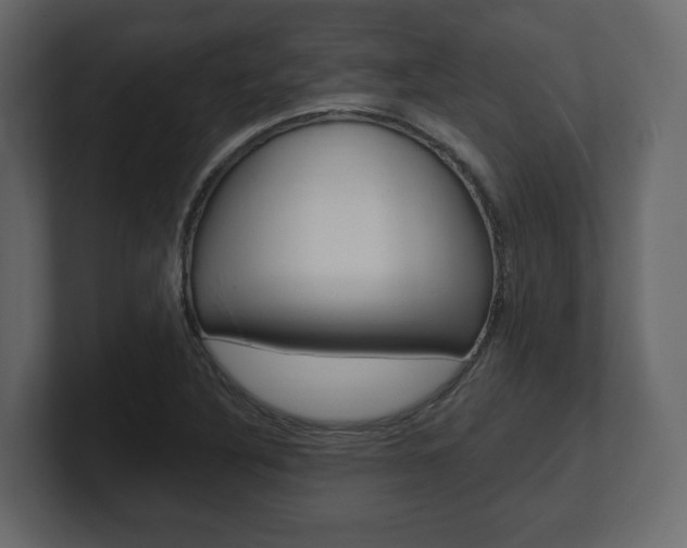 X0000101181316200806270818