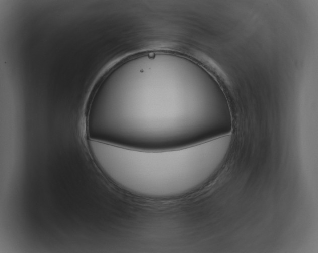 X0000101181324200806270819