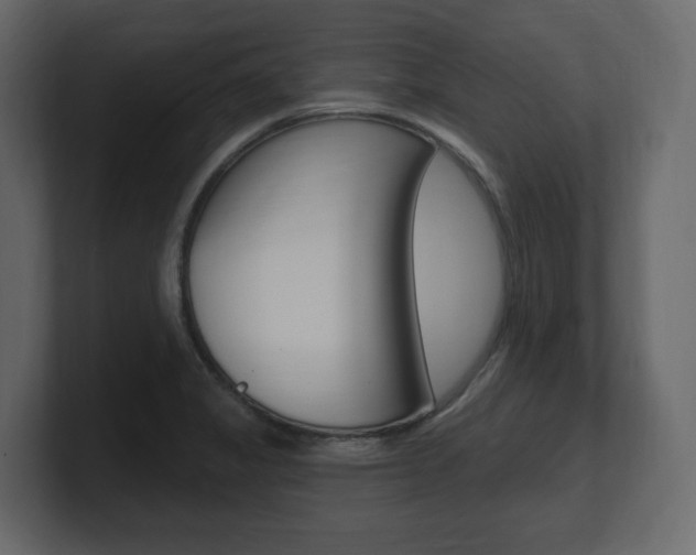 X0000101181325200806270819