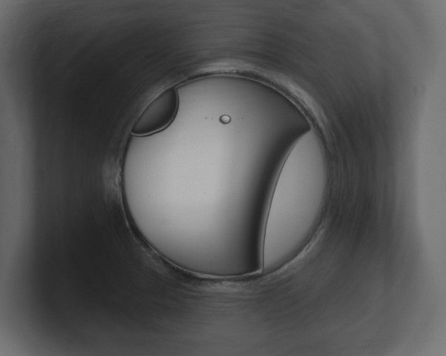 X0000101181329200806270819