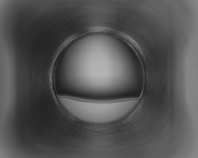 X0000101181330200806270819