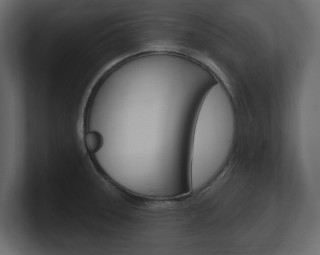 X0000101181331200806270819