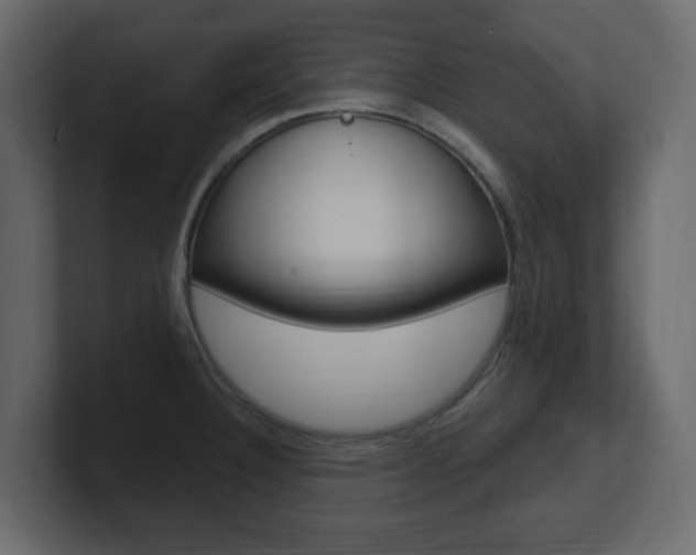 X0000101181332200806270819