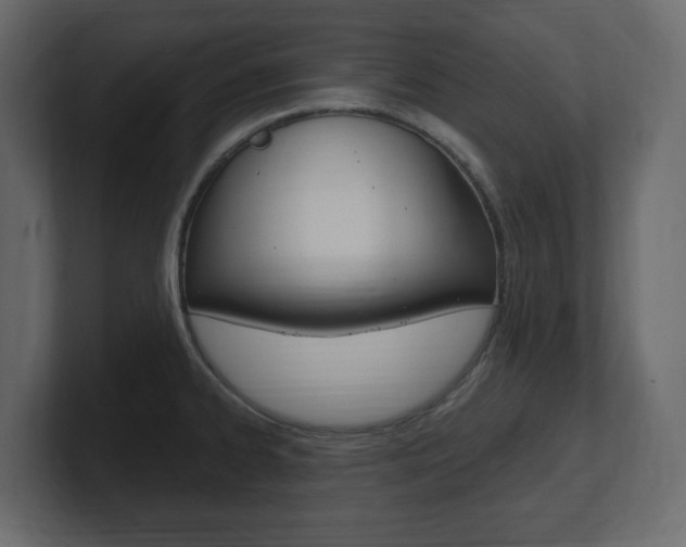 X0000101181334200806270819
