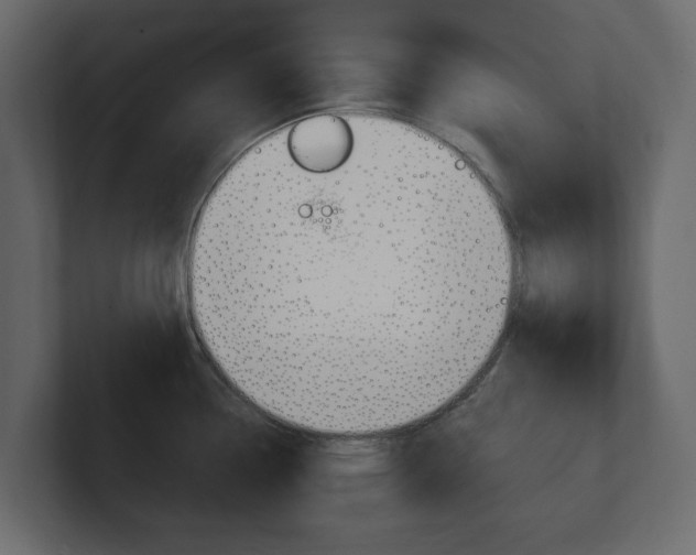 X0000101181338200806270819