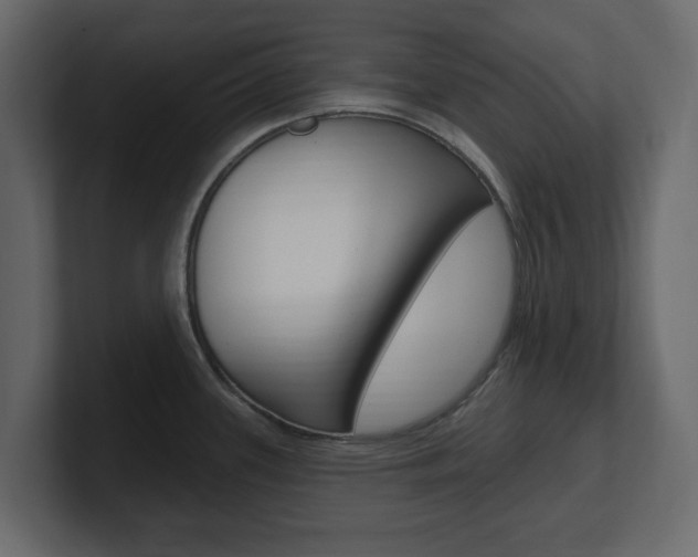 X0000101181339200806270819
