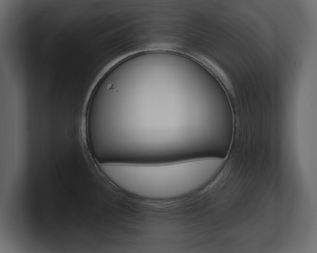 X0000101181340200806270819