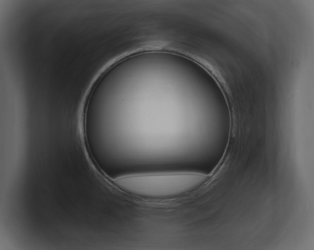 X0000101181342200806270819