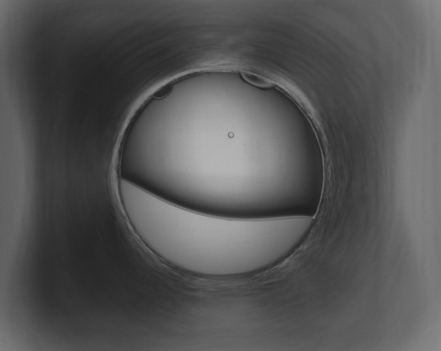 X0000101181344200806270819