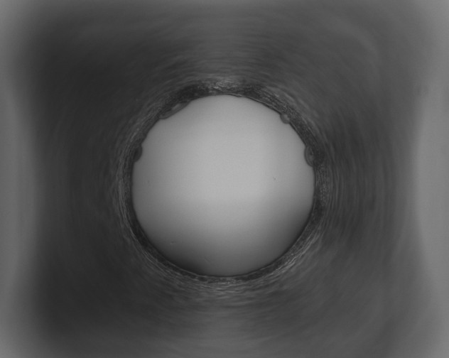 X0000101181345200806270818