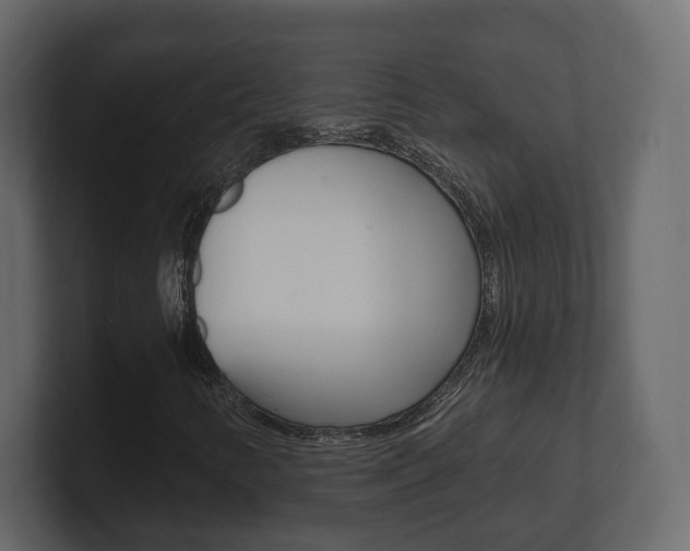 X0000101181346200806270818