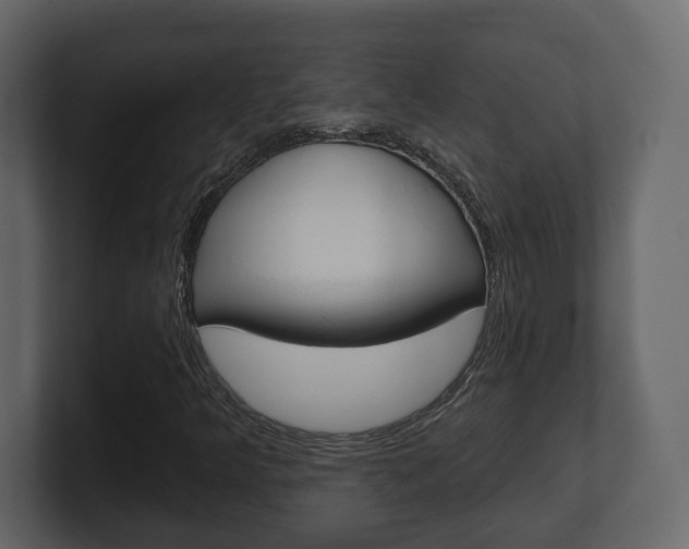 X0000101181349200806270818