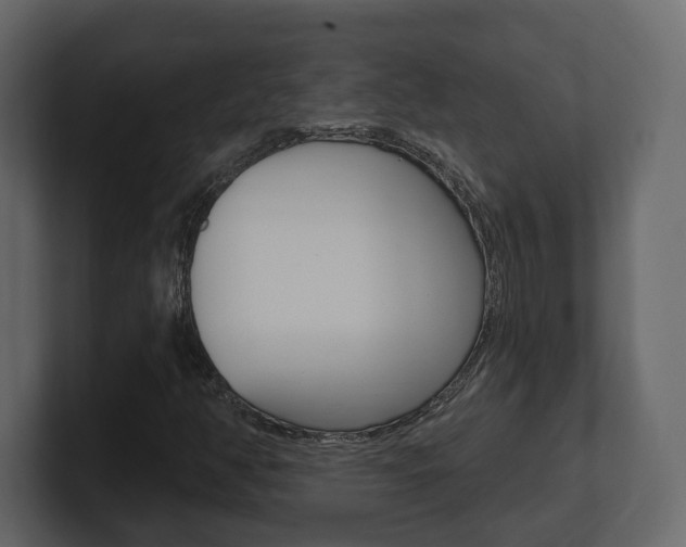 X0000101181350200806270818