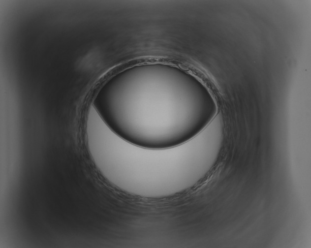 X0000101181352200806270818