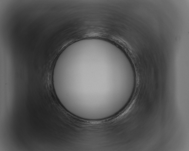 X0000101181353200806270818
