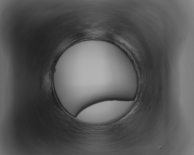 X0000101181354200806270818