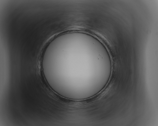 X0000101181355200806270818