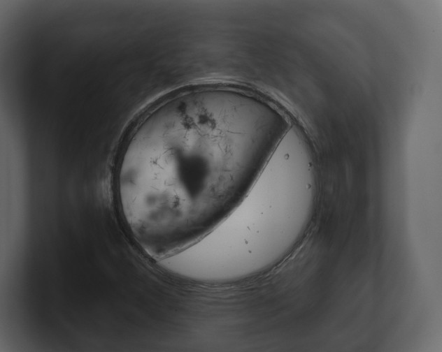 X0000101181356200806270818