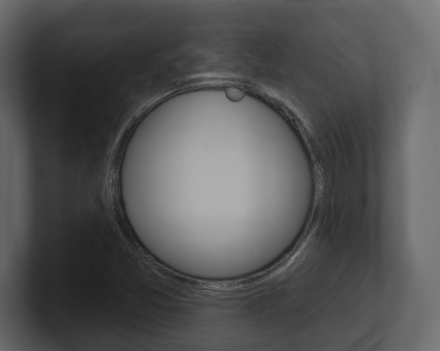 X0000101181357200806270818