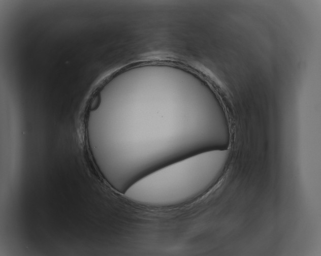 X0000101181358200806270818