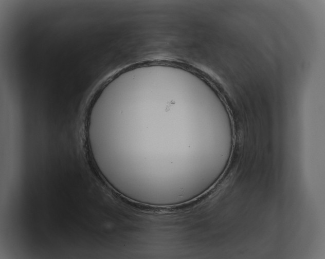 X0000101181359200806270818