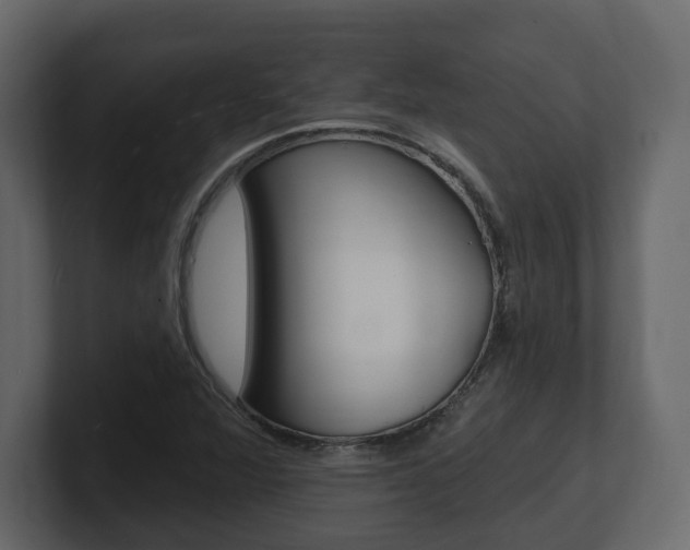 X0000101181360200806270818