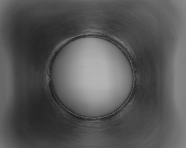X0000101181363200806270818
