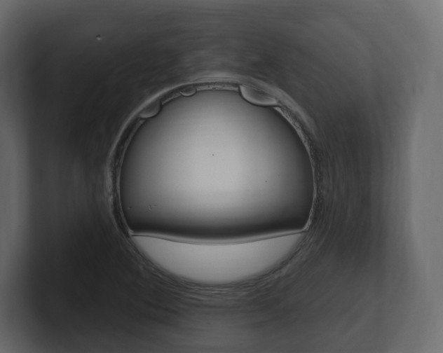 X0000101181364200806270818