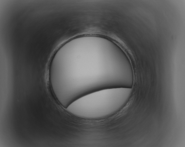 X0000101181366200806270818