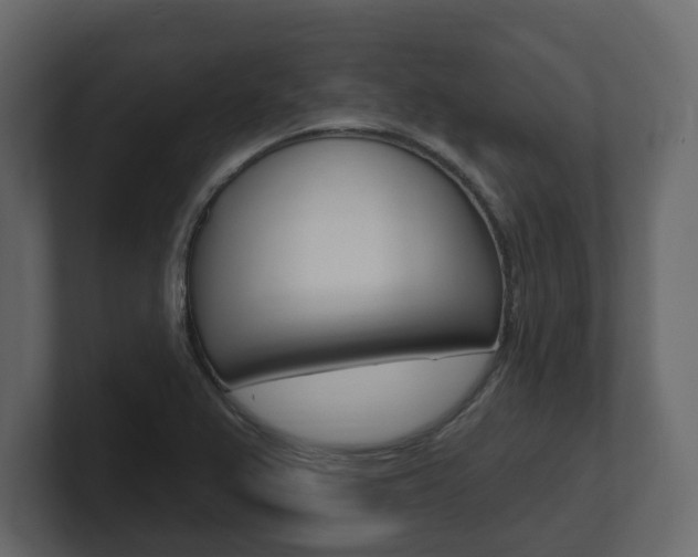 X0000101181367200806270818