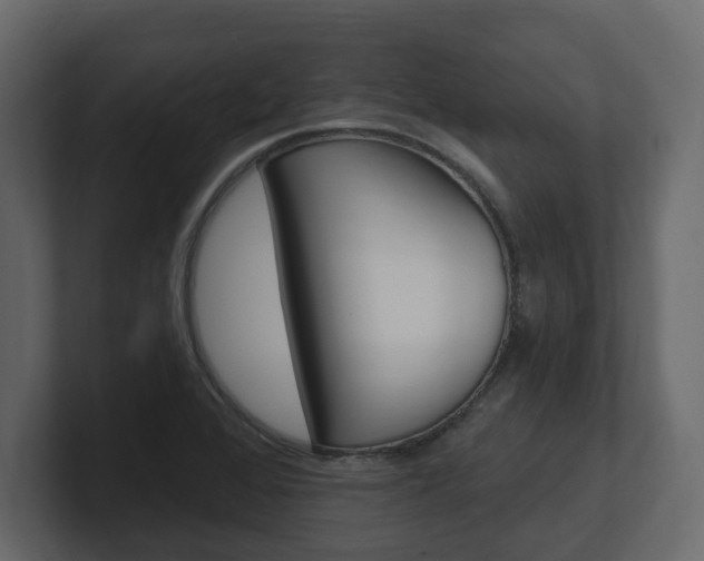 X0000101181368200806270818