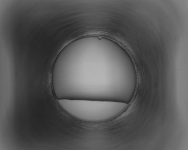 X0000101181369200806270818