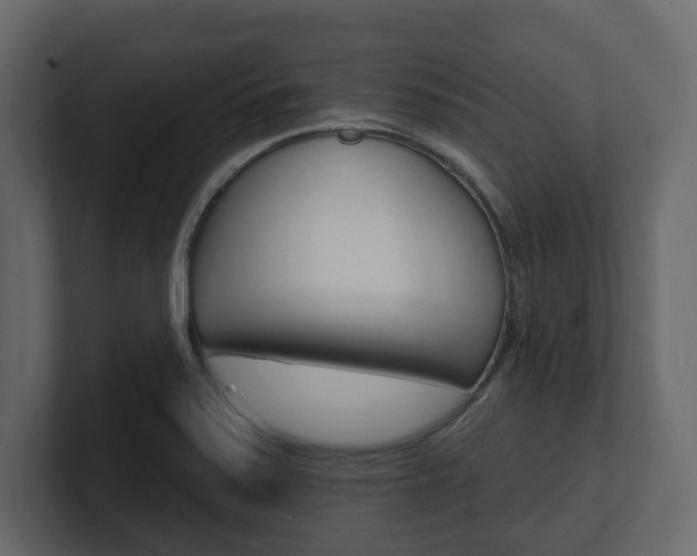 X0000101181371200806270818