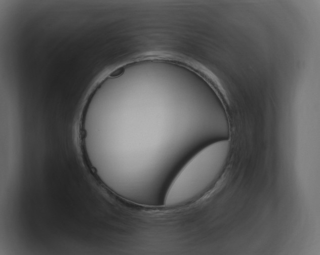 X0000101181373200806270818