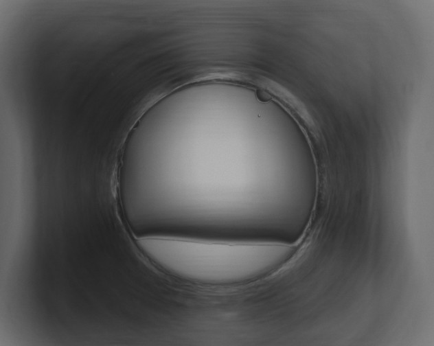X0000101181377200806270818