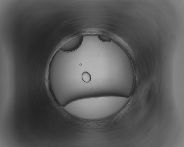 X0000101181378200806270818