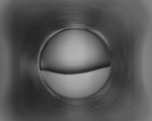 X0000101181379200806270818