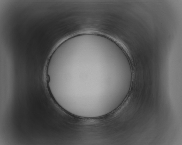X0000101181382200806270818