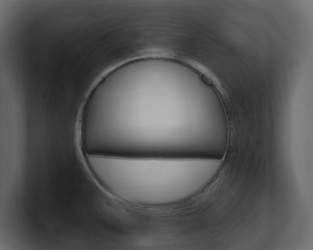 X0000101181383200806270818
